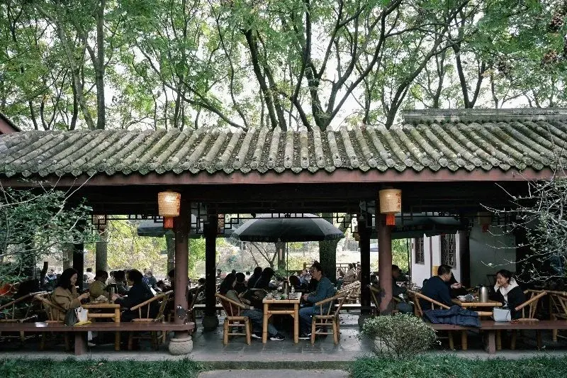 An outdoor teahouse under a tiled roof in Chengdu, dozens of people seated at wooden tables among trees