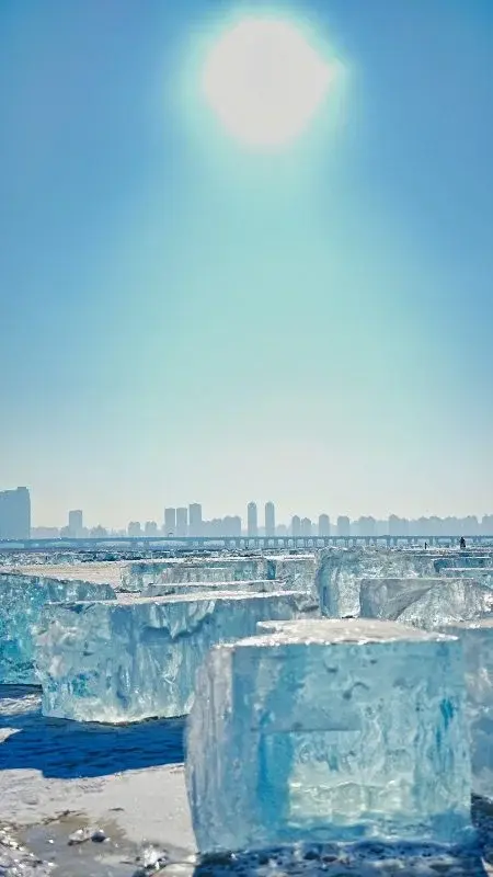 Large translucent blue ice blocks cut from the frozen river, stacked on the ice with the Harbin skyline hazy in the background