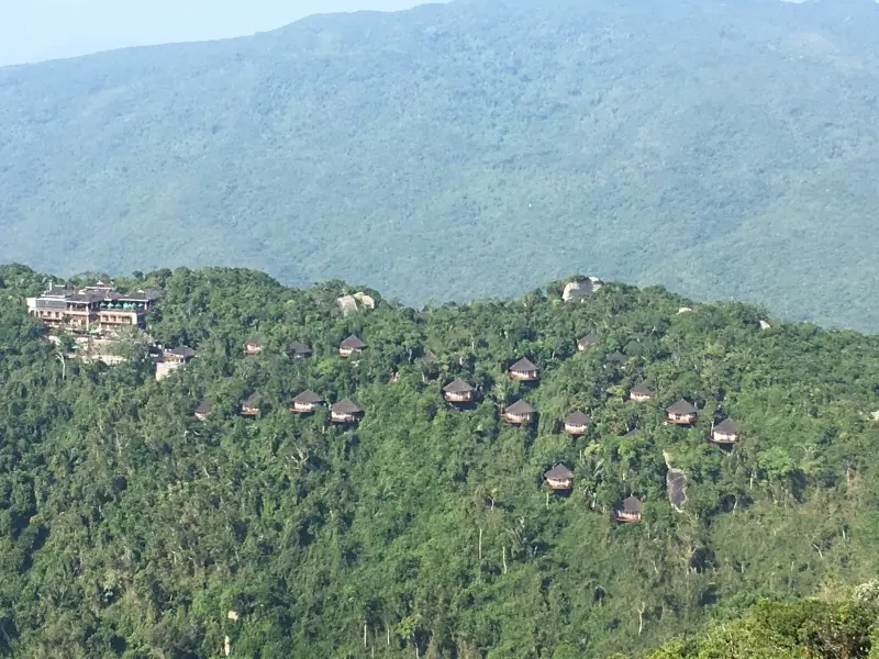 Treehouse villas hidden in the lush tropical rainforest hills of Sanya
