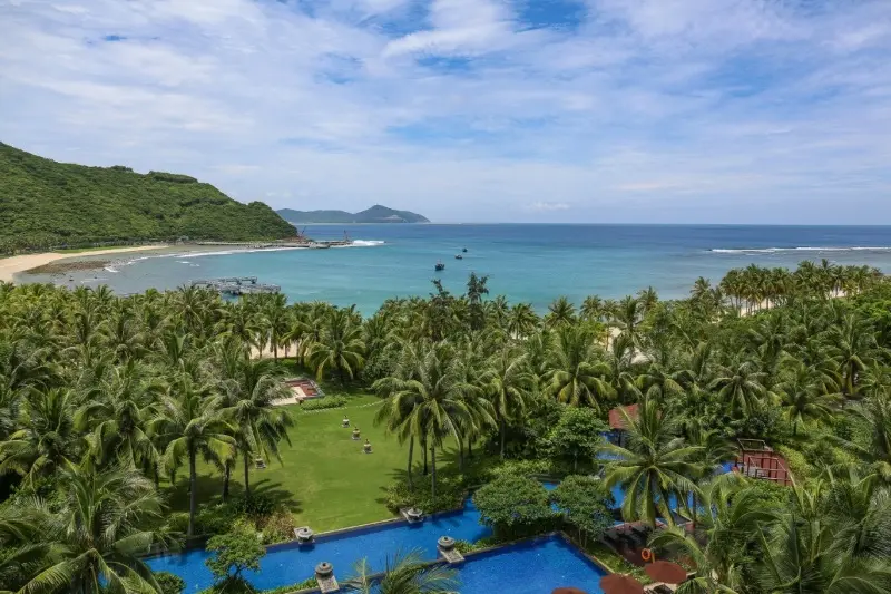 Luxury resort pool area and lush coconut palm trees in Sanya