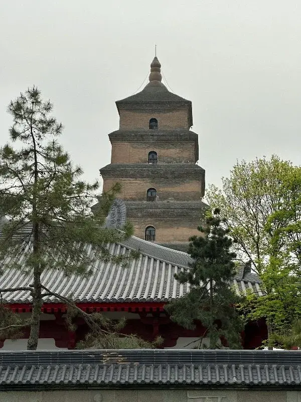 The tiered brick tower of the Giant Wild Goose Pagoda rising behind a temple roofline and pine trees