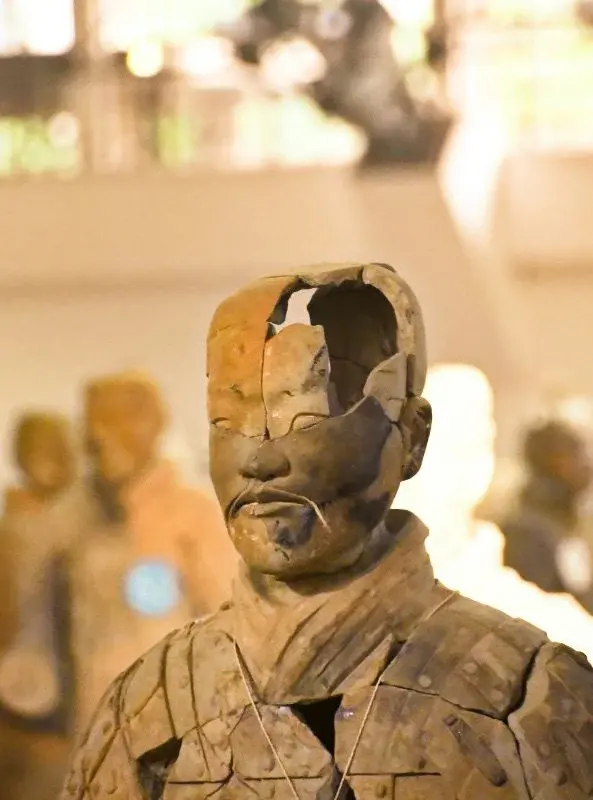 A fractured terracotta warrior head, half its face broken away, on display with intact figures blurred in the background