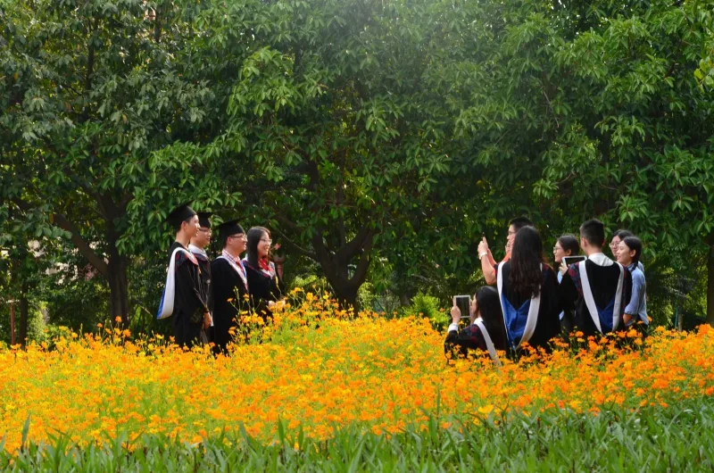 Graduates in gowns photographing each other in a field of orange flowers on a university campus in early summer