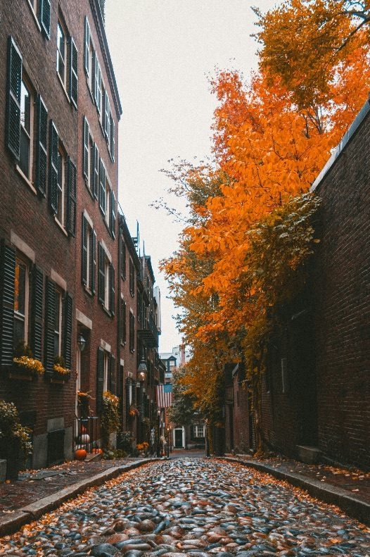 Acorn Street in Boston's Beacon Hill neighborhood, a cobblestone lane lined with brick row houses and autumn foliage