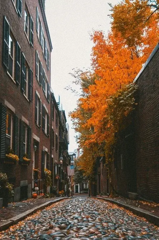 Acorn Street in Boston's Beacon Hill neighborhood, a cobblestone lane lined with brick row houses and autumn foliage