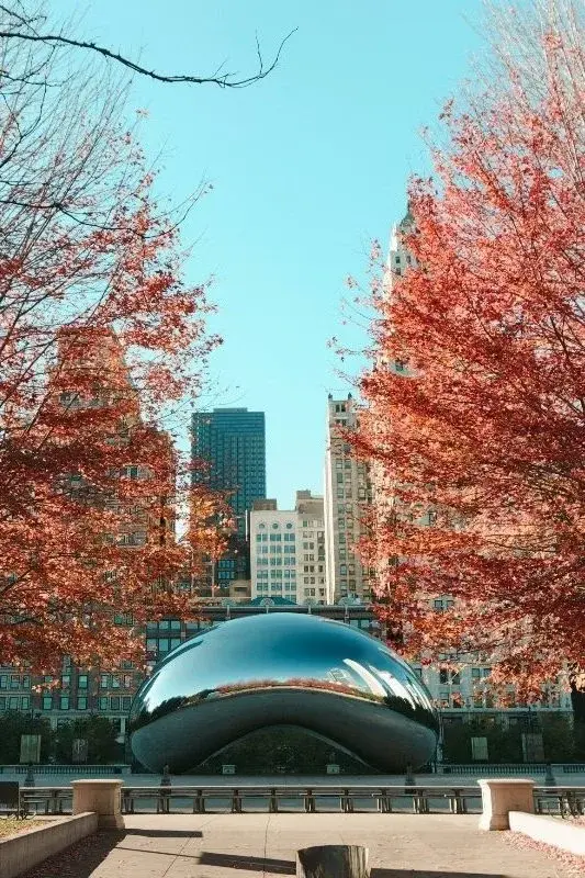 Chicago's Cloud Gate sculpture in Millennium Park, framed by red autumn trees with the skyline behind