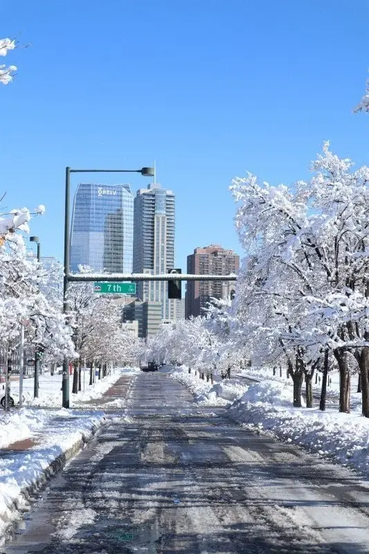 A snow-covered Denver street lined with frosted trees, a downtown tower visible in the distance