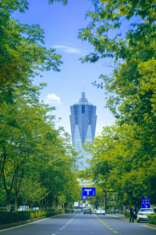 A tree-lined Hangzhou boulevard with a distinctive tower visible at the far end