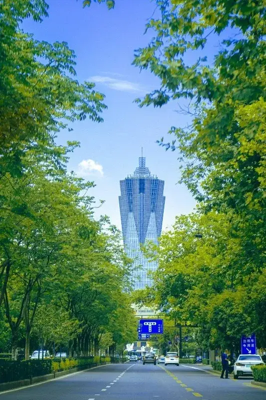 A tree-lined Hangzhou boulevard with a distinctive tower visible at the far end
