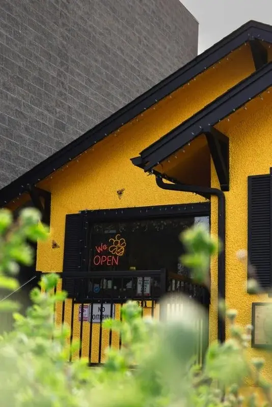 A small yellow storefront with a neon OPEN sign behind green foliage in Calgary