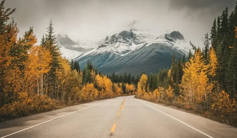 A road through misty autumn forest leading toward snow-capped mountains near Calgary, Alberta