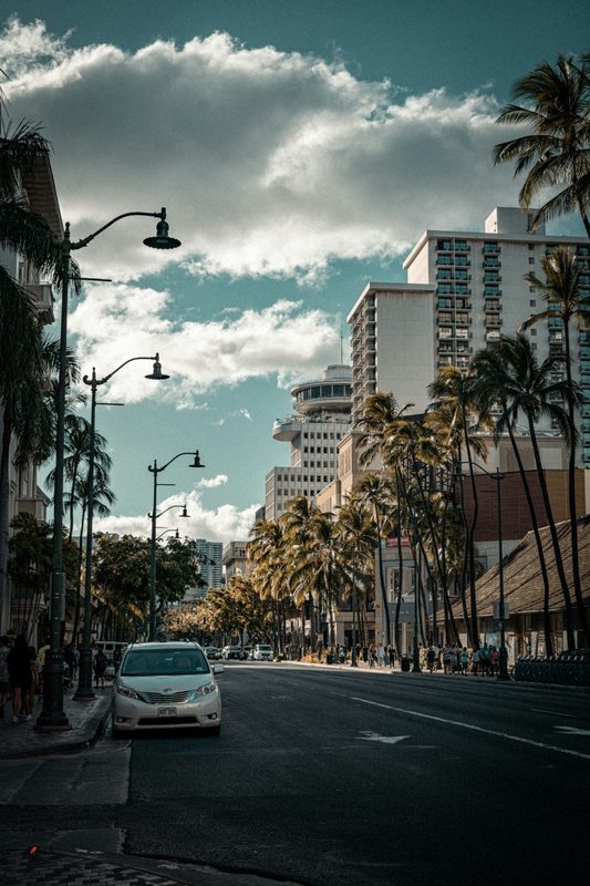 A Honolulu street lined with palm trees, hotel towers, and traffic