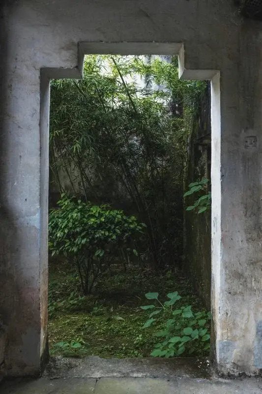 A plain concrete doorway in Jingdezhen framing a small overgrown courtyard of bamboo and tea shrubs