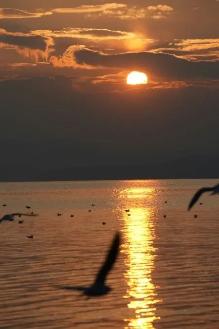 Sunset over Dianchi Lake in Kunming with birds flying across the water