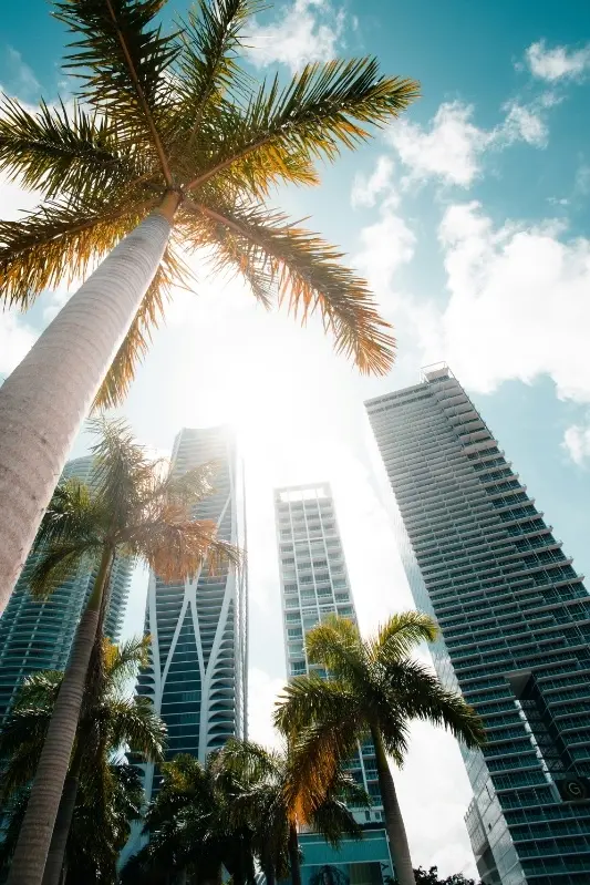 Miami downtown sharp‑edged financial district high‑rises, corporate urban architecture