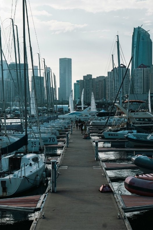 A marina walkway in Qingdao lined with sailboats, modern high-rise towers visible across the harbor