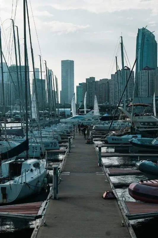 A marina walkway in Qingdao lined with sailboats, modern high-rise towers visible across the harbor