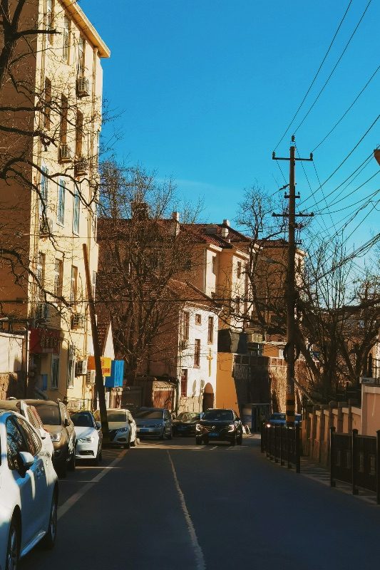 An ordinary residential street in Qingdao, parked cars and bare winter trees in front of plain apartment blocks
