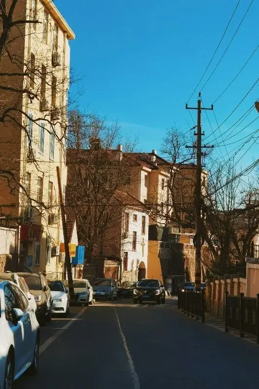 An ordinary residential street in Qingdao, parked cars and bare winter trees in front of plain apartment blocks