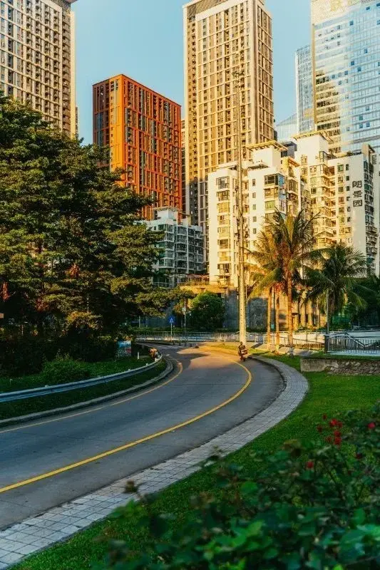 A curved residential street in Shenzhen lined with palm trees, mid-rise apartment towers behind it