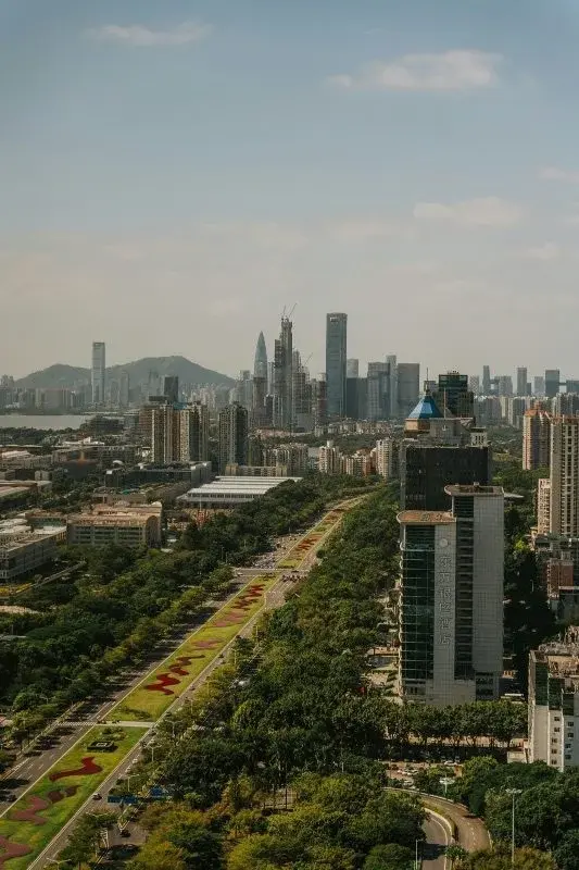 A wide tree-lined Shenzhen avenue by day, the city's skyline of towers and construction cranes visible in the distance