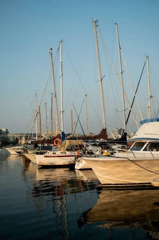 Sailboats moored at sunset in a Victoria, BC marina, their masts reflected in still water