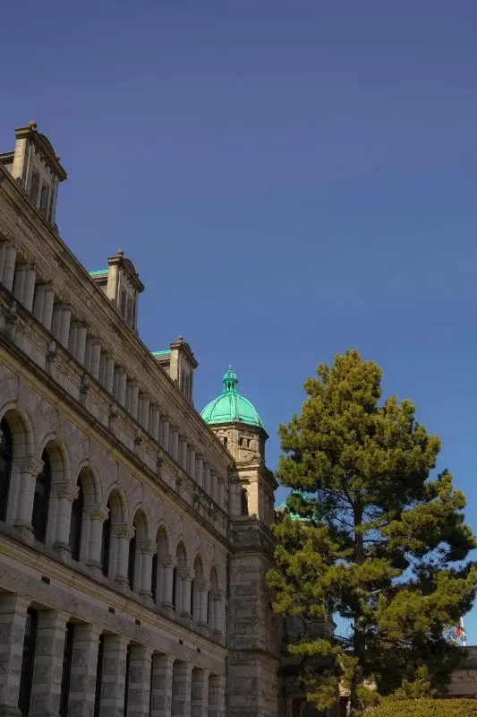 The green copper dome of the BC Parliament Buildings in Victoria, seen past a stone facade and a pine tree
