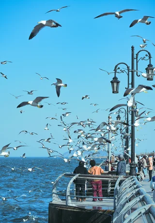 Dalian