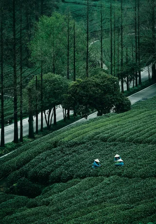 Hangzhou