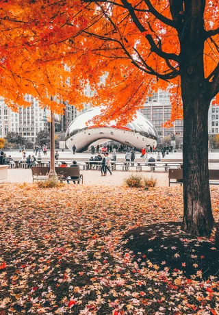 Wuhan vs Chicago