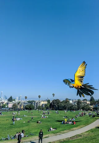 Shenzhen vs San Francisco