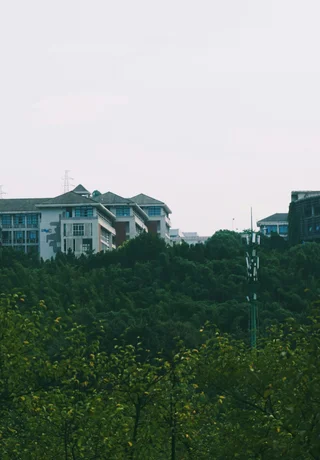 University buildings rising above the treeline in Chongqing