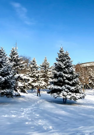 A person walking through a snow-covered campus in Harbin