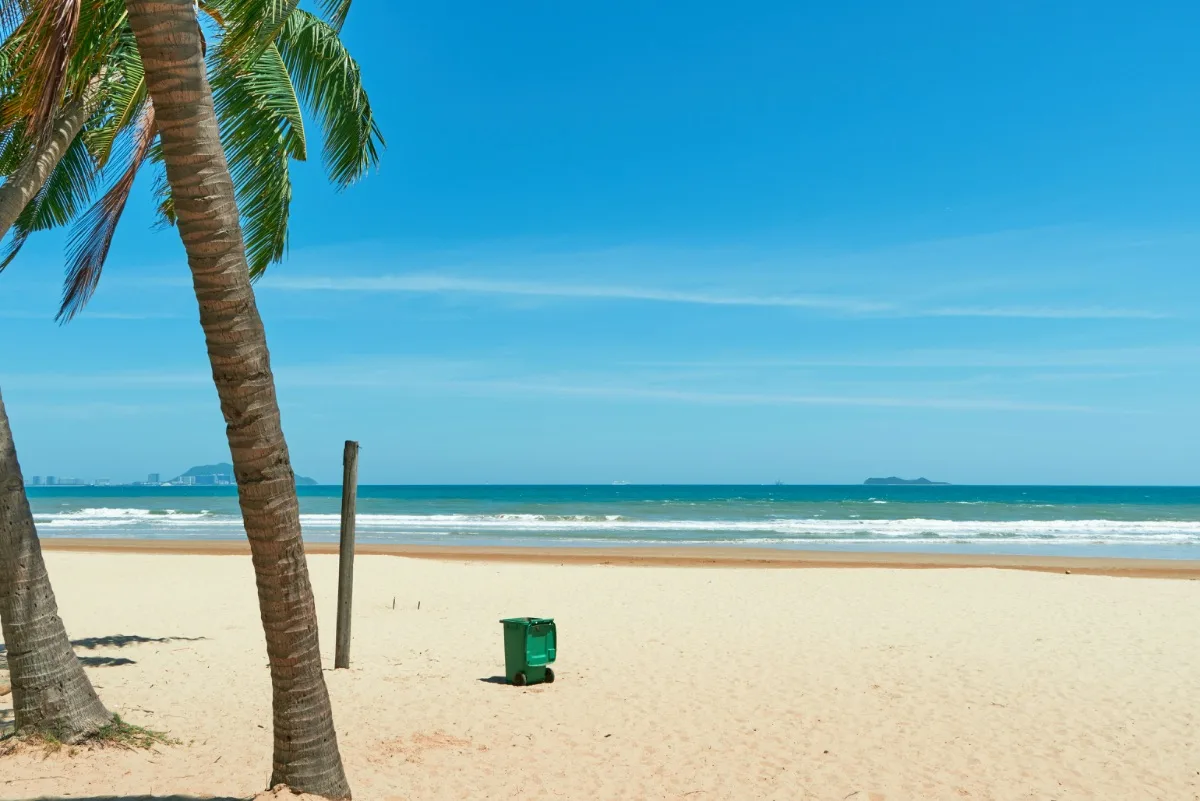 Sanya's tropical coastline and palm trees