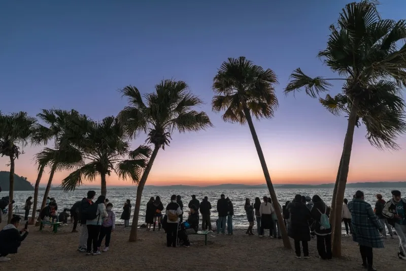 Sunset at Dianchi Lake, Kunming: Palm trees silhouette against a colorful winter sky as visitors gather on the beach to enjoy the evening view.