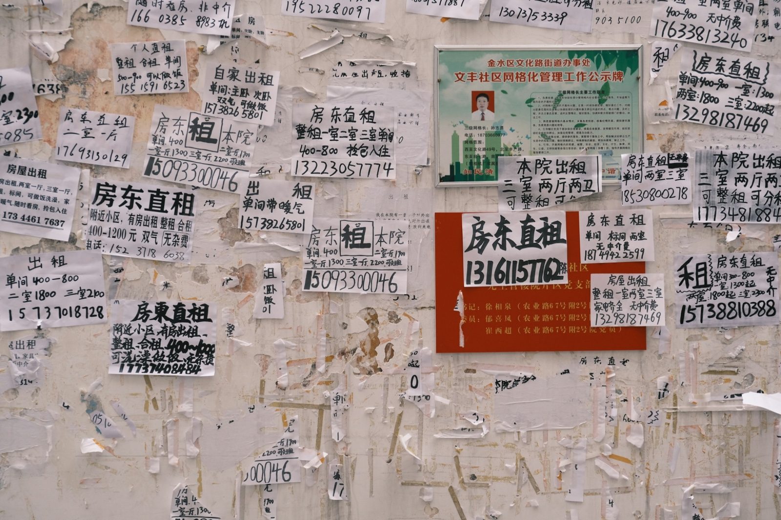 A wall covered in dozens of handwritten Chinese rental advertisements, phone numbers, and 'landlord direct, no agency fee' notices