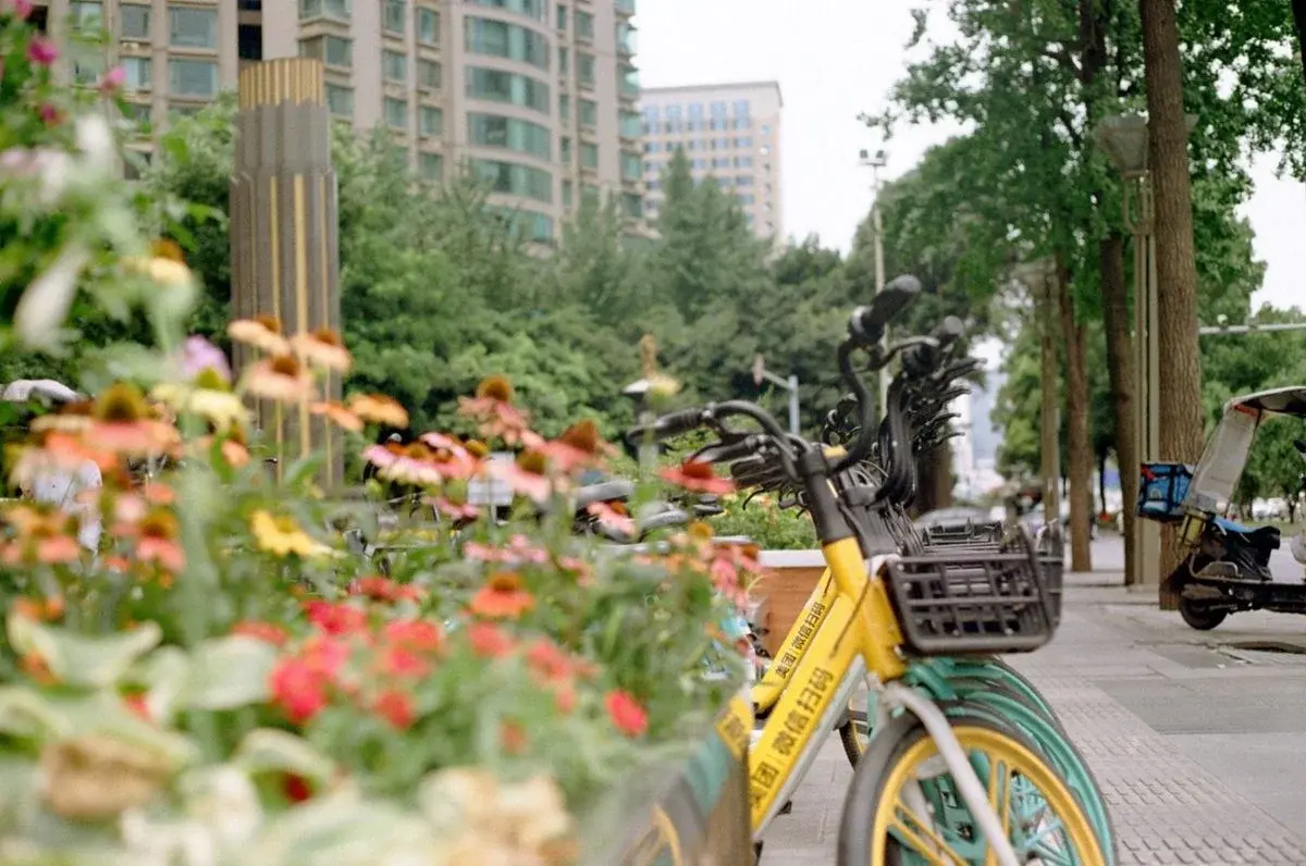 A shared bike parked along a flower-lined sidewalk in a Chinese city